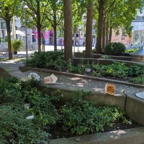 Müll am Augustinerplatz, vor allem Essensreste