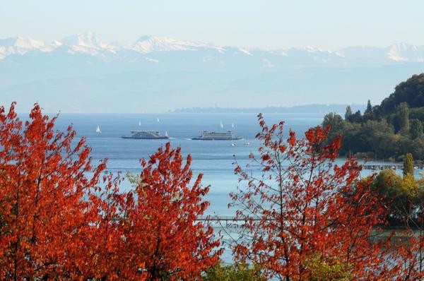 Zwei Fähren, im Vordergrund herbstliche Bäume