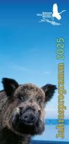 Cover Flyer Bodensee-Naturmuseum 2025 Cover Flyer Bodensee-Naturmuseum 2025