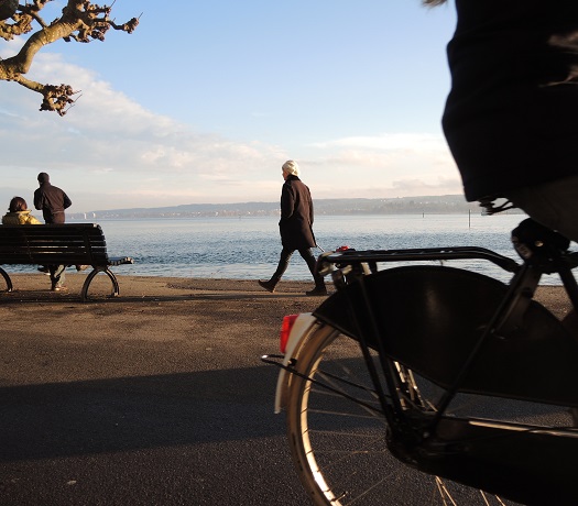 Rad- und Fußwege am Ufer (Foto: Stadt Konstanz)